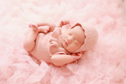 贵阳8个月宝宝辅食 贵阳8个月宝宝辅食